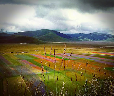 Castelluccio di Norcia di Morrilwen