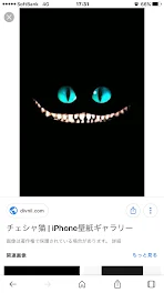 黒い影が来る