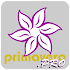 Primavera Pro Guide1.2