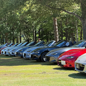 ロードスター NA6CE