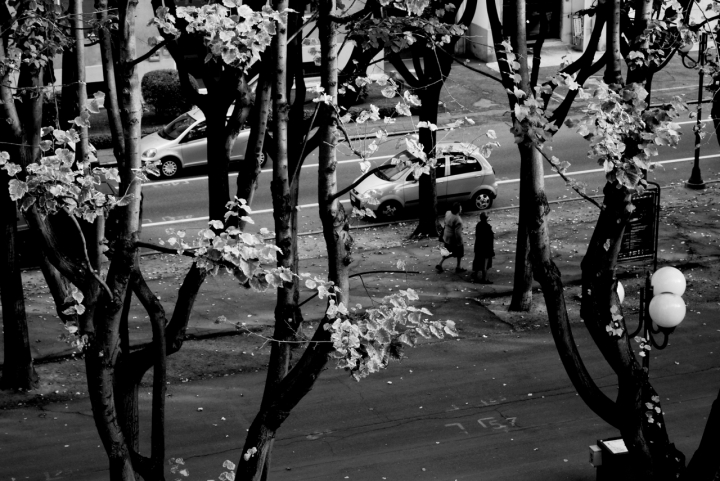 Walking on the Boulevard di Ari Rissotti