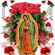 Download Virgin Of Guadalupe Roses Live Wallpaper For PC Windows and Mac 1.0