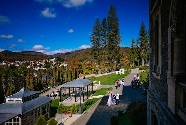 Fotógrafo de casamento Geo Dolofan (vision). Foto de 3 de novembro 2022