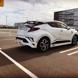 C-HR ZYX10