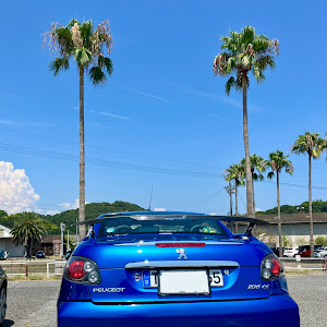 206 A206CC