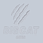 bigcatcues