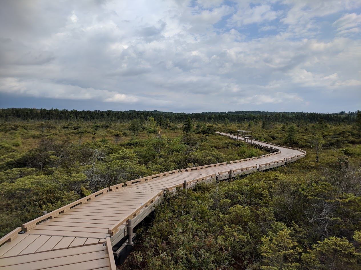 Торф'яник Ороно. Штат Мен. (Orono Bog Walk, ME)