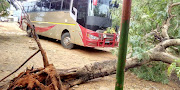 A fallen tree is seen in front of a bus in the aftermath of the Cyclone Kenneth in Pemba, Mozambique April 26, 2019 in this still image obtained from social media. 