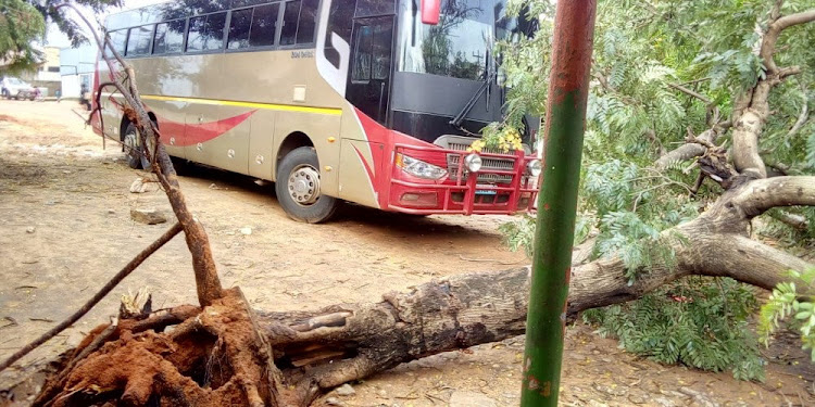 A fallen tree is seen in front of a bus in the aftermath of the Cyclone Kenneth in Pemba, Mozambique April 26, 2019 in this still image obtained from social media.