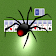 Spider Solitaire icon