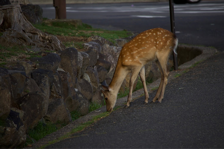 の投稿画像5枚目