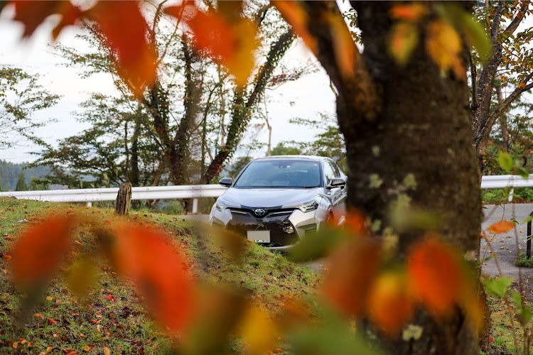 C-HRの紅葉ドライブ・紅葉と愛車・紅葉・SLとコラボ・柿の木とコラボに関するカスタム事例の投稿画像5枚目