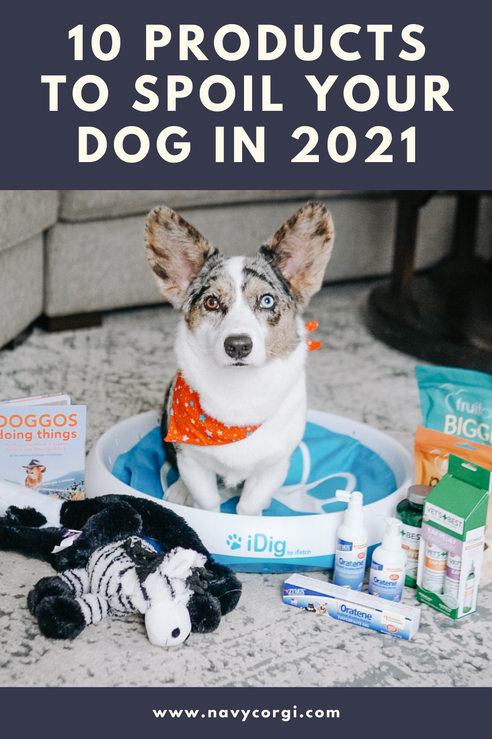 The Best Dog Products on  — Willo the Corgi