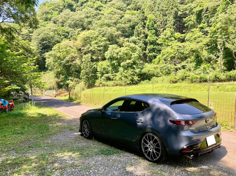 MAZDA3の休日の過ごし方・洗車・苗・ポリメタいい色に関するカスタム事例の投稿画像2枚目