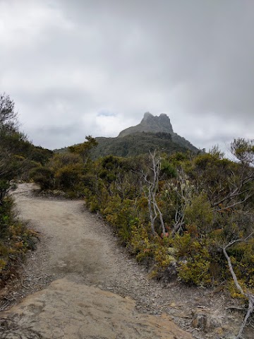 Pinnacles Walk Coromandel