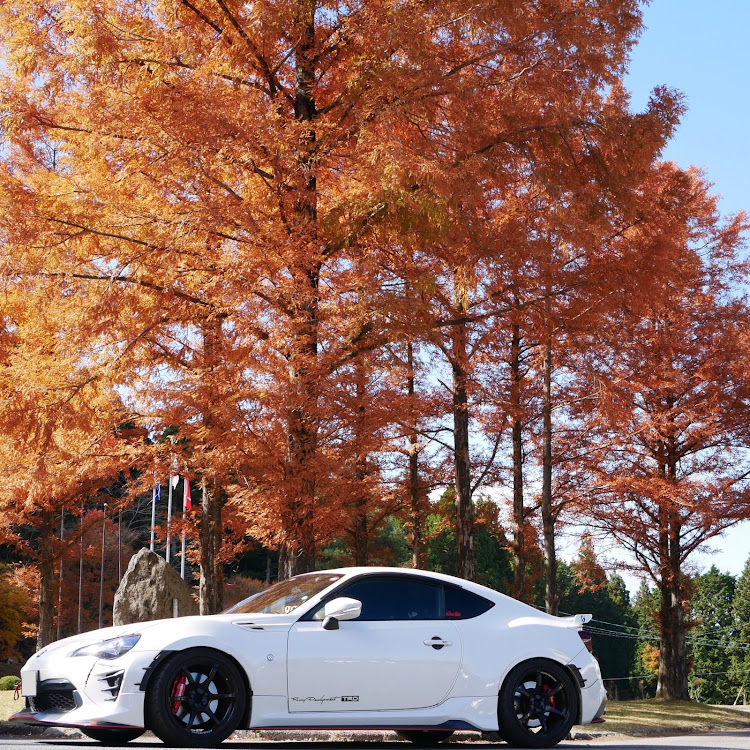 86の紅葉狩り・愛車撮影・コラボ・BRZ・プチオフに関するカスタム事例の投稿画像6枚目