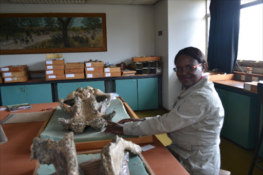 Paleontologist Dr. Emma Mbau and hippo fossils discovered in Ongata Rongai.