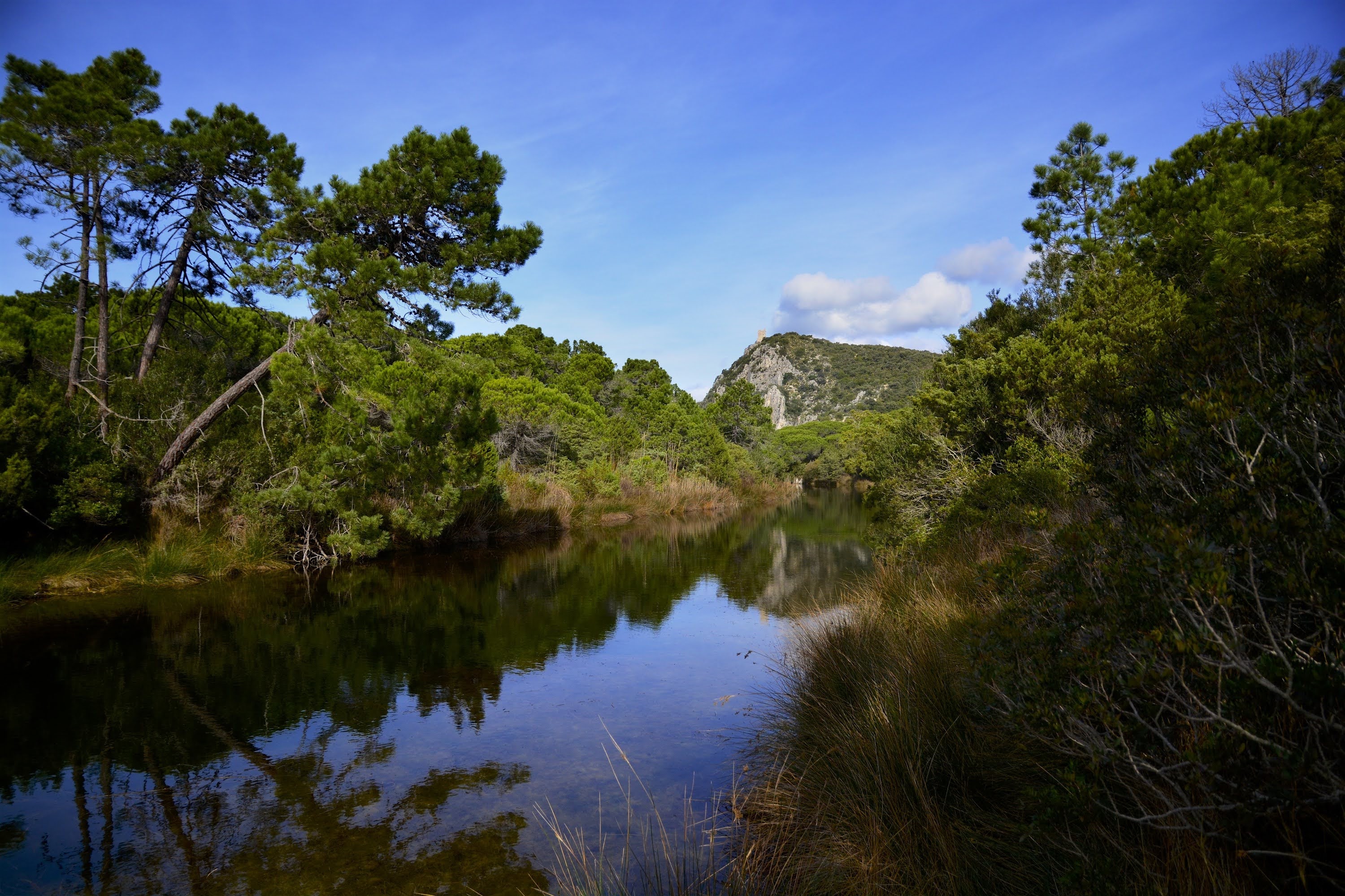 Parco Naturale della Maremma, Canale Scoglietto, sullo sfondo a destra, la Torre di Castel Marino