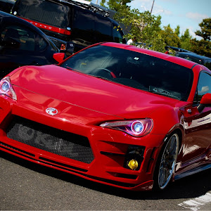 86 ZN6