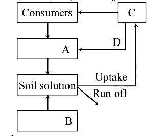 Biome and Biogeochemical Cycles- Biomes