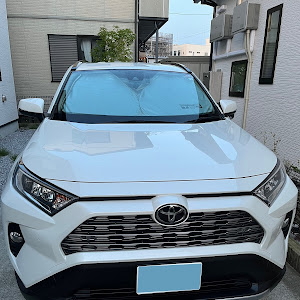 RAV4 MXAA54