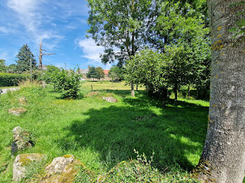 terrain à Putanges-Pont-Ecrepin (61)