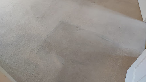 Item 81