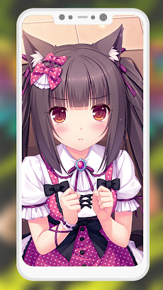 Fans Nekopara Anime HD Wallpaperのおすすめ画像1