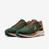 air zoom pegasus 39 a.i.r. hola lou gorge green/team orange/phantom/yale brown