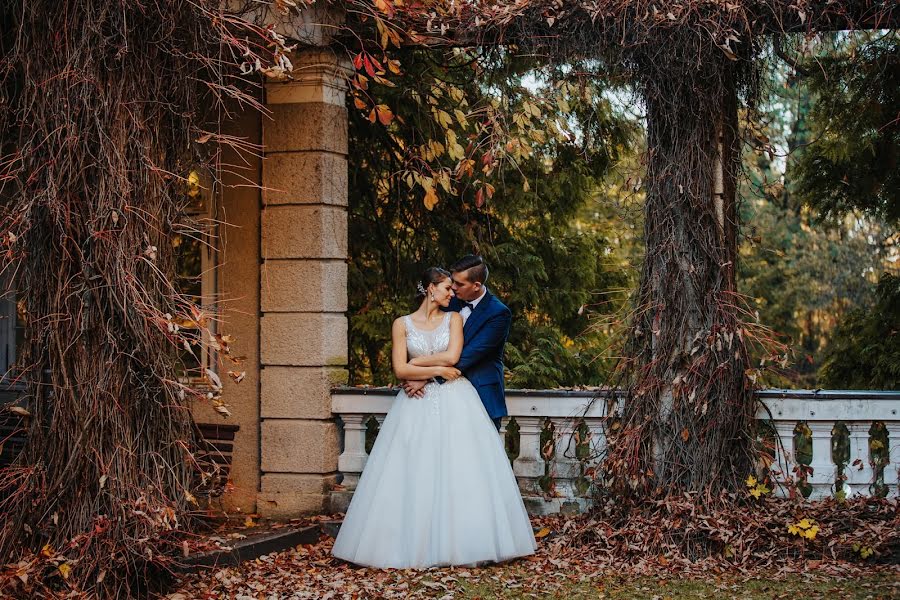 Fotografo di matrimoni Dariusz Poniatowski (poniatowskipp). Foto del 25 febbraio 2020