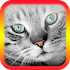 Translator for Cats - Cat Translator5.1