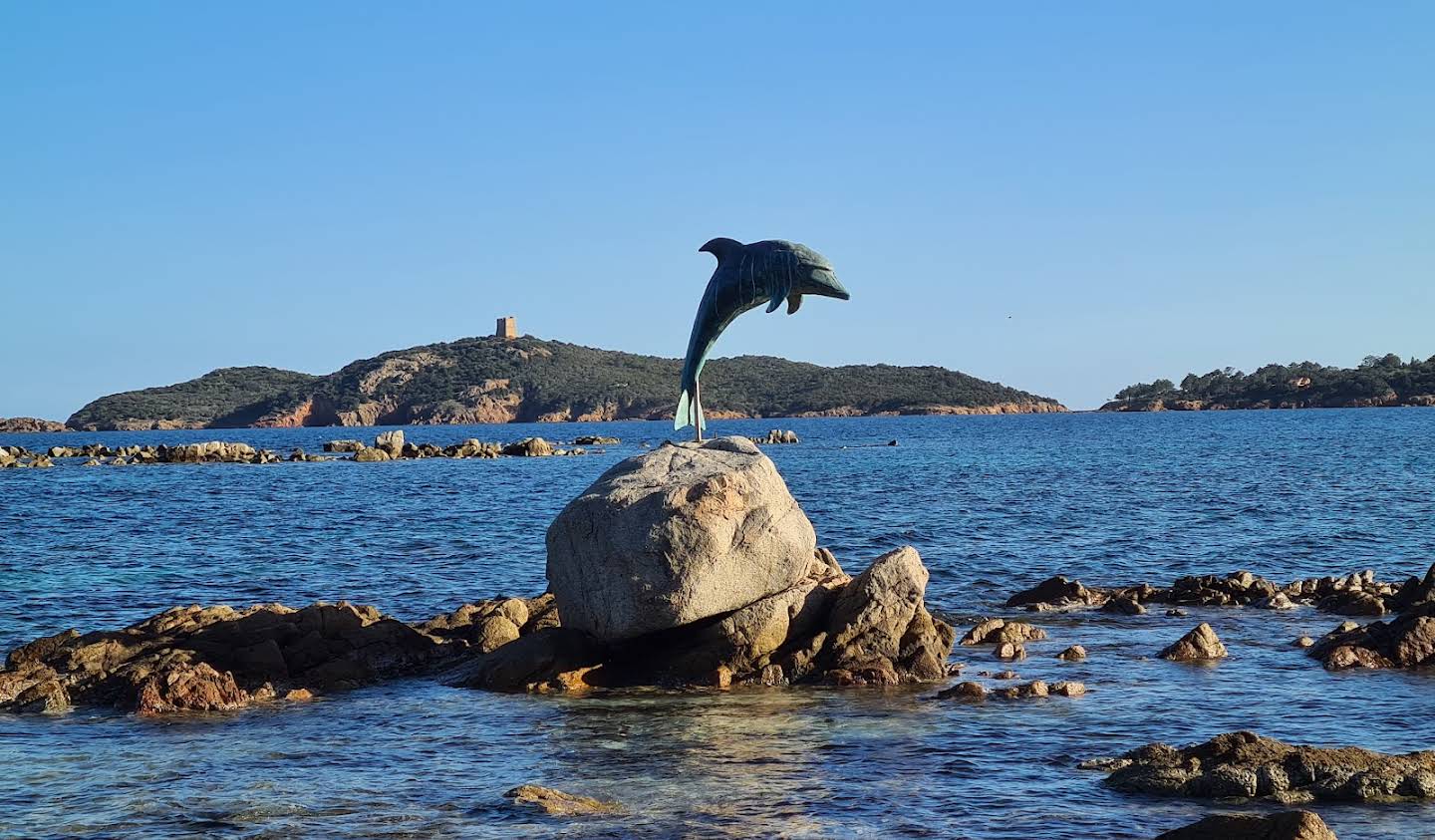 Seaside property and garden Porto-Vecchio