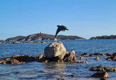 Propriété en bord de mer avec jardin 13