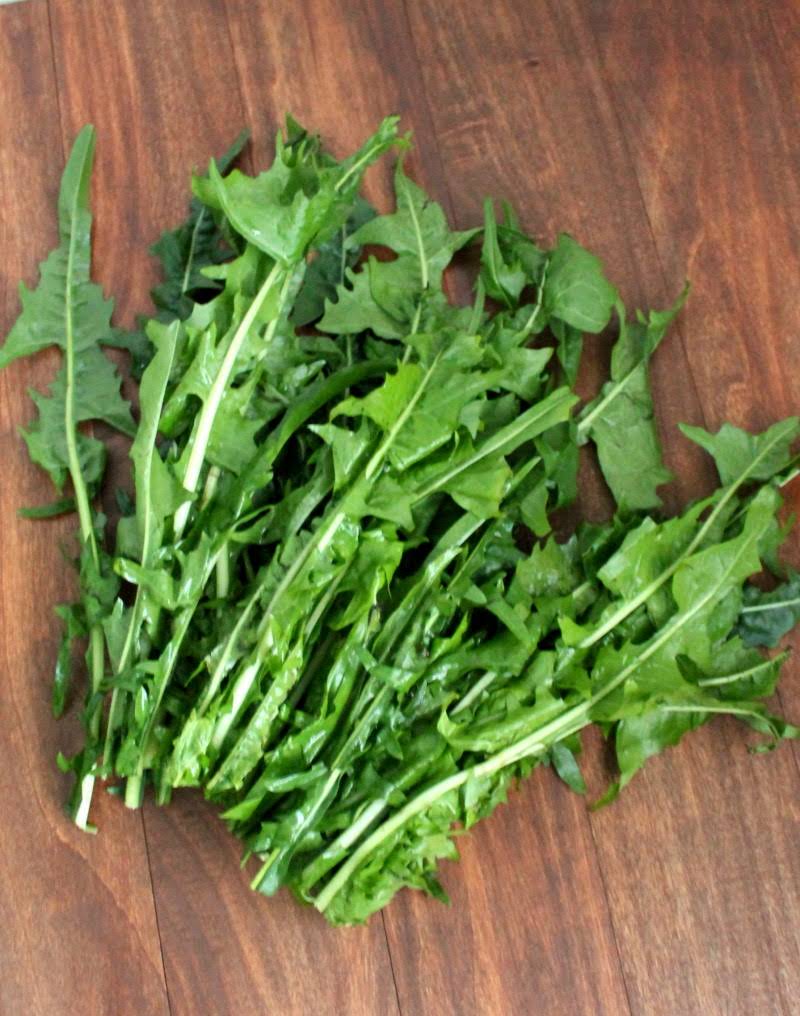 10-best-dandelion-greens-recipes