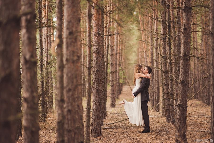 Photographe de mariage Anna Gorbenko (annagorbenko). Photo du 11 novembre 2013