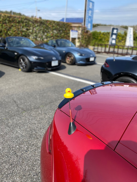 ロードスターのアヒル隊長に関するカスタム事例の投稿画像1枚目