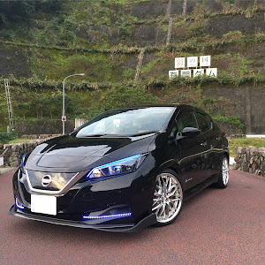 リーフ ZE1