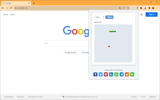 Snake Game on Google Chrome