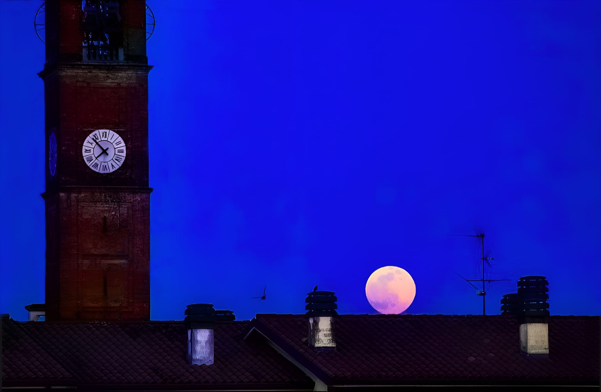 La luna sul tetto di Shiro186