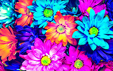 Beautiful flowers Wallpapers New Tab small promo image