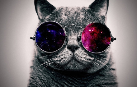 Universe Cat chrome extension