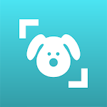 Cover Image of Baixar Scanner de cães: reconhecimento de raça 6.0.15-G APK