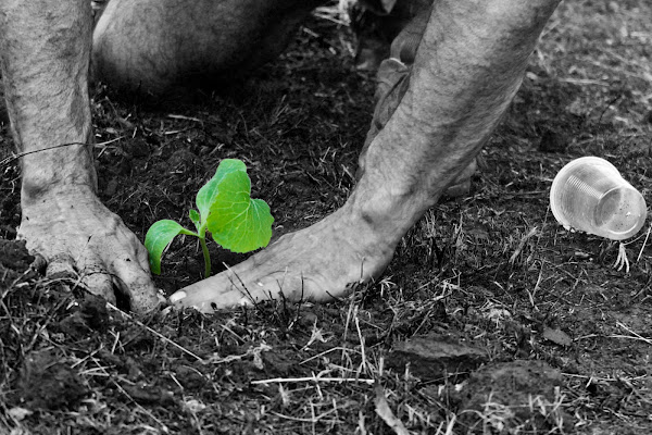 Verde come la natura di eliza