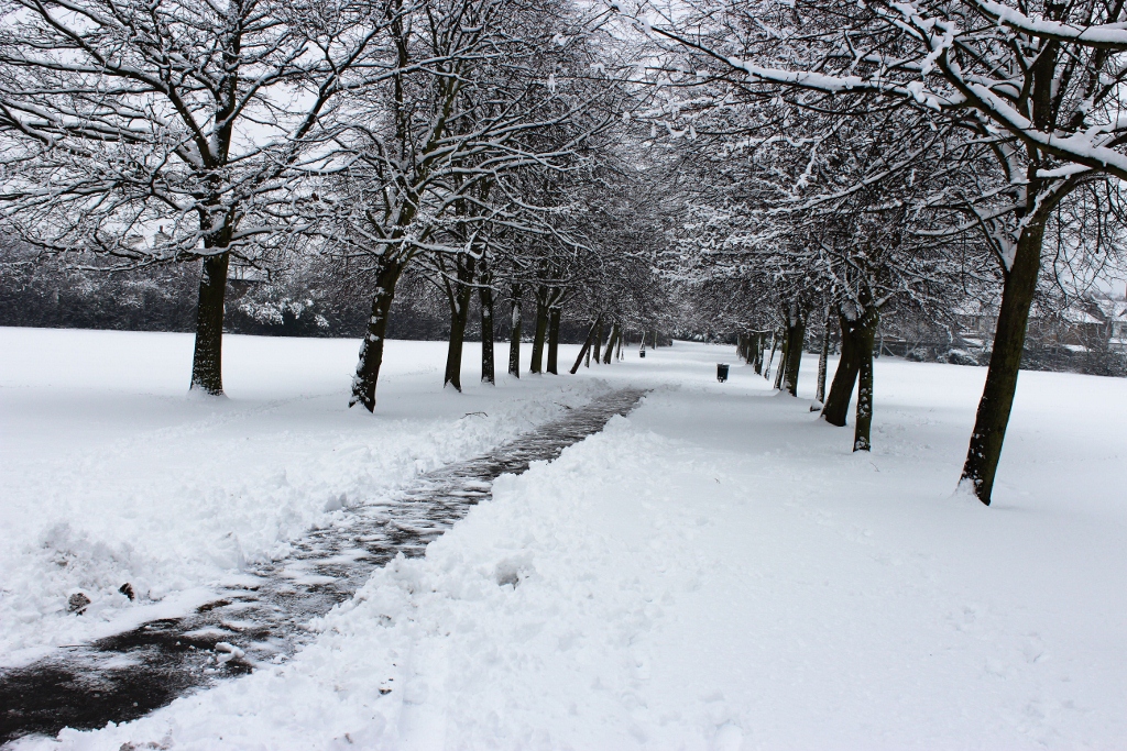 White Park di SamueleSchiro