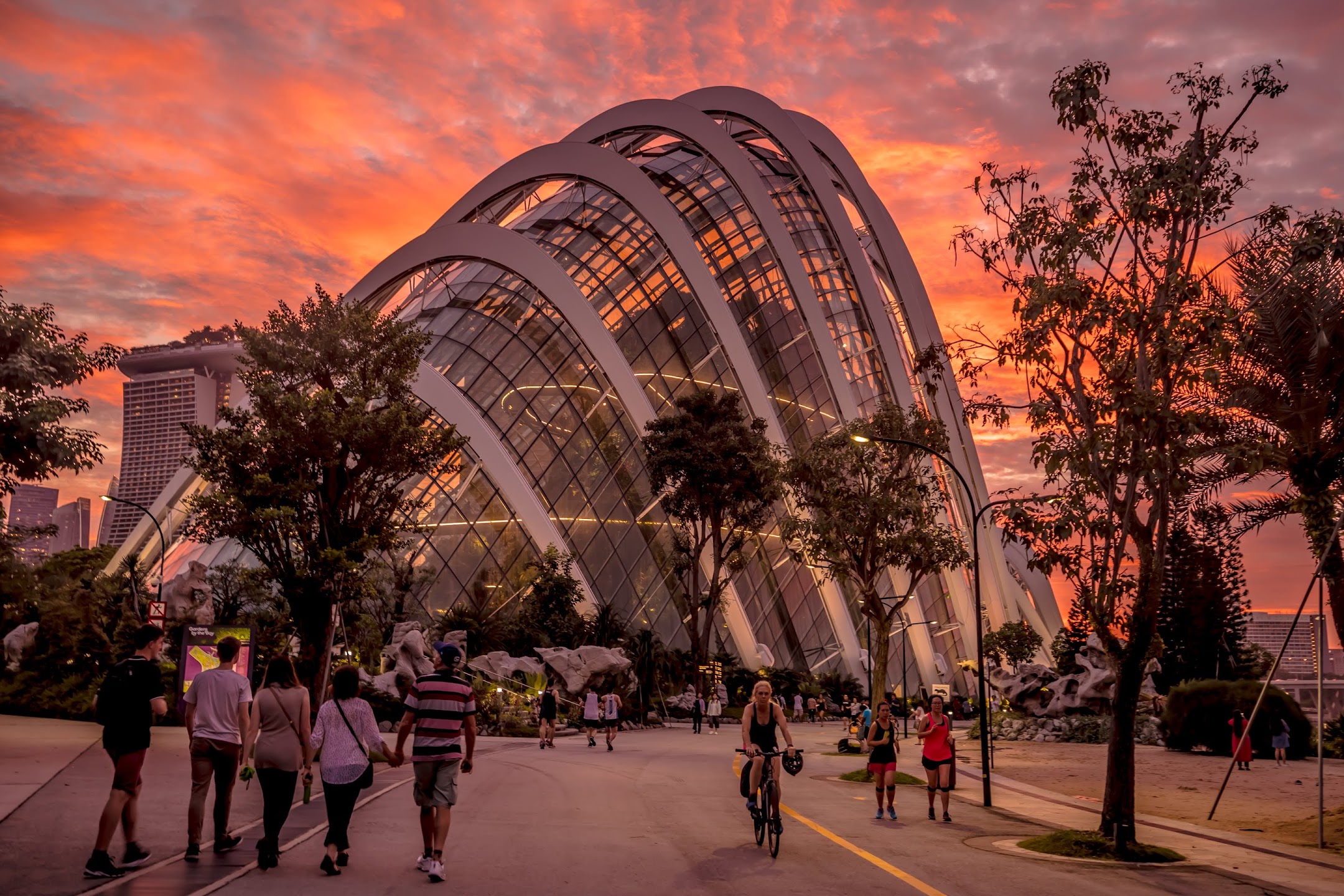 シンガポール ガーデンズ・バイ・ザ・ベイ (Gardens by the Bay) クラウド・フォレスト (Cloud Forest)