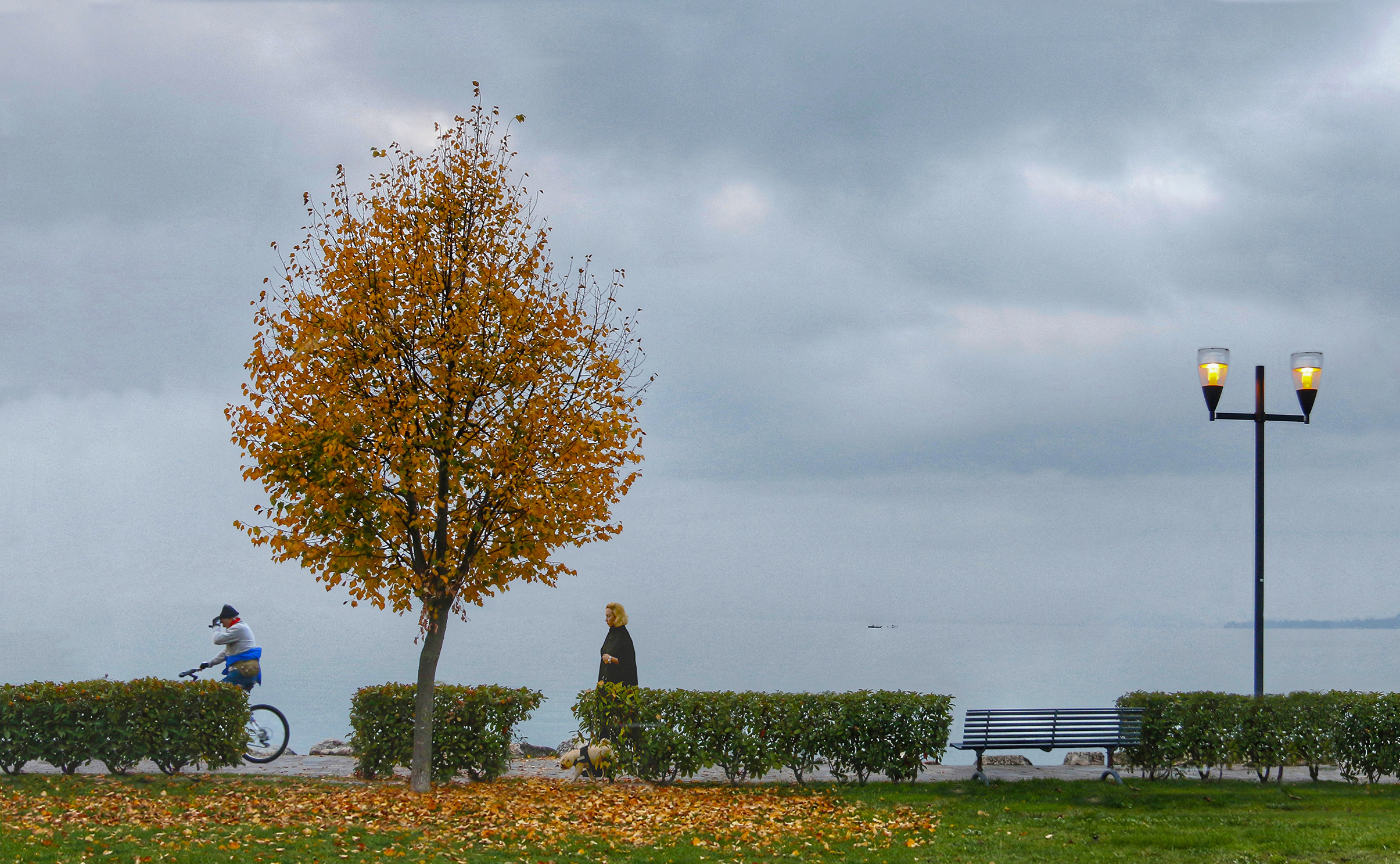 L' Albero Autunnale di Hello