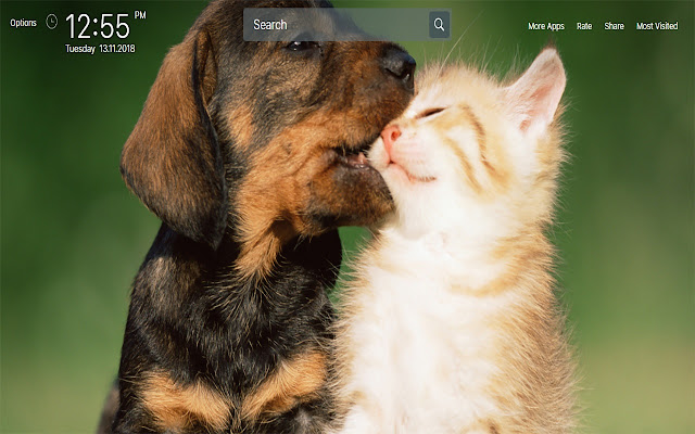 Cats and Dogs wallpapers New Tab