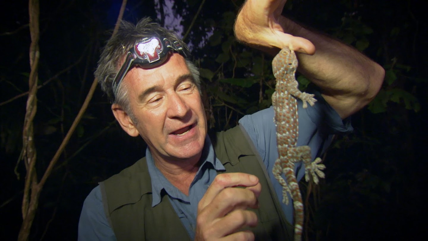 Watch Ten Deadliest Snakes with Nigel Marven live