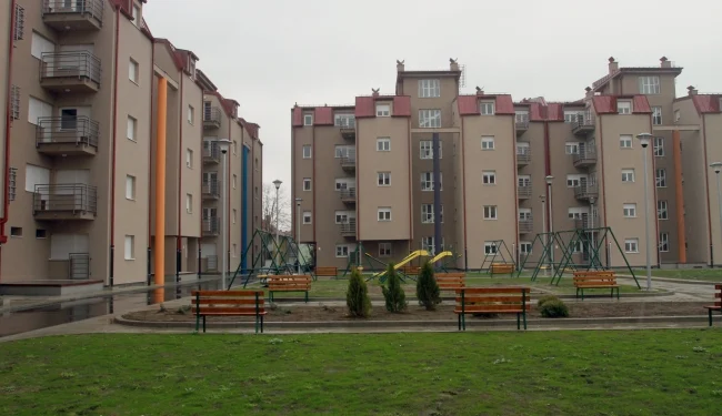 Kreni-Promeni: Seča šume u Mirijevu ugrožava zelenilo i bezbednost građana