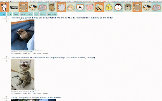 Reddit full images screenshot